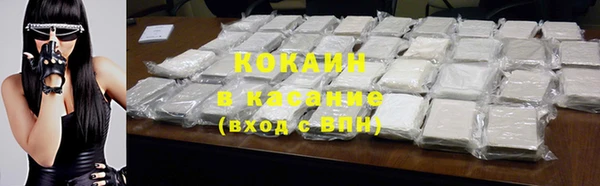 сатива Верея