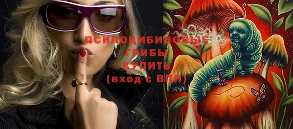 сатива Верея