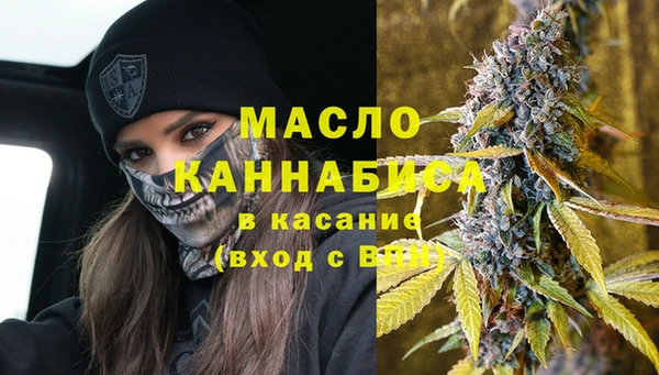 сатива Верея