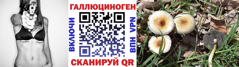 Псилоцибиновые грибы Psilocybe  blacksprut рабочий сайт  shop какой сайт  Зима 